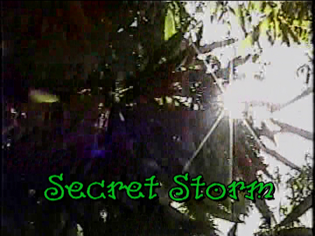 images/Secret.Storm.1.jpg