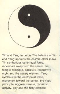 yin.yang.jpg